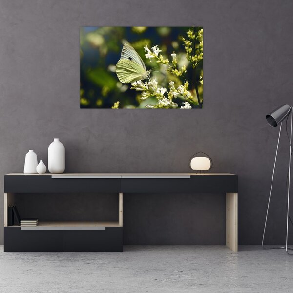 Tablou cu fluture (90x60 cm)