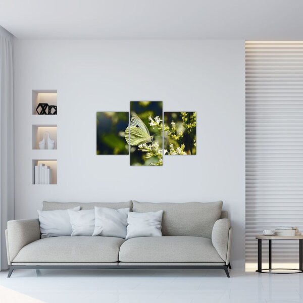 Tablou cu fluture (90x60 cm)