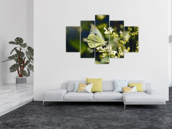 Tablou cu fluture (150x105 cm)