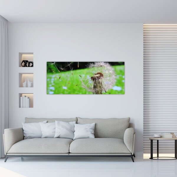 Tablou cu păpădie (120x50 cm)