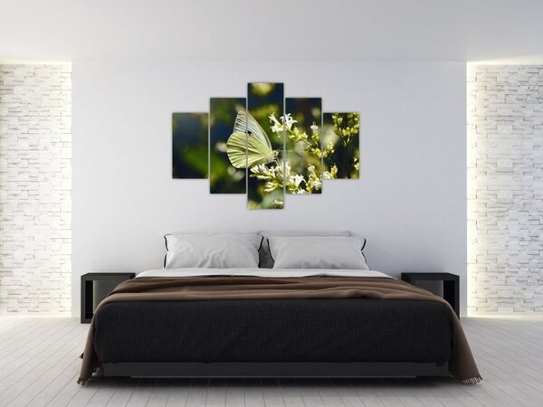 Tablou cu fluture (150x105 cm)