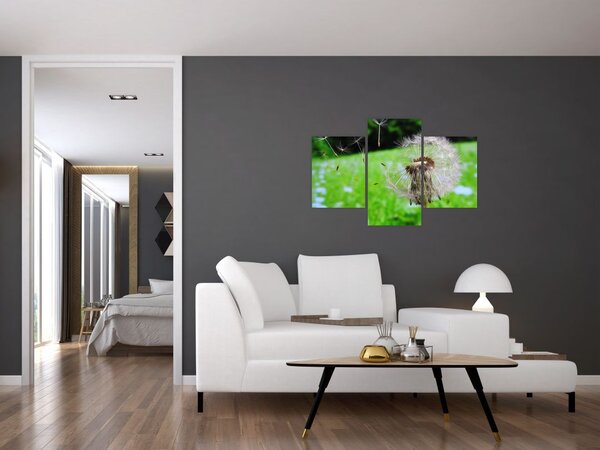 Tablou cu păpădie (90x60 cm)