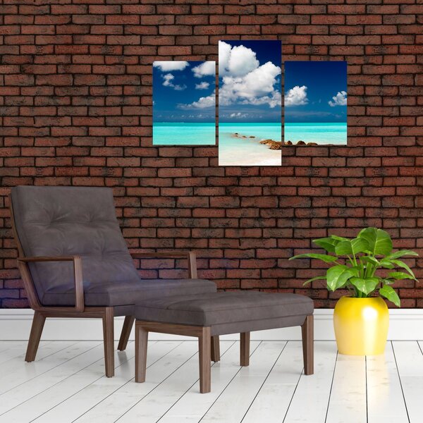 Tablou cu mare (90x60 cm)