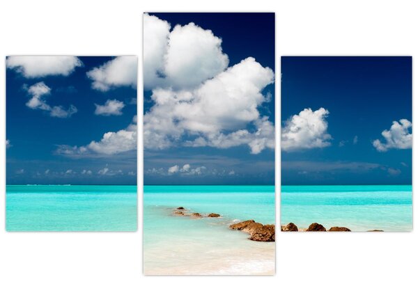 Tablou cu mare (90x60 cm)