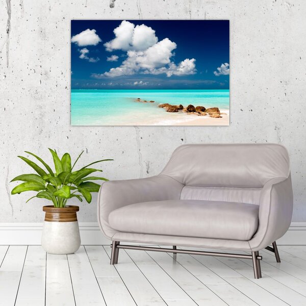 Tablou cu mare (90x60 cm)