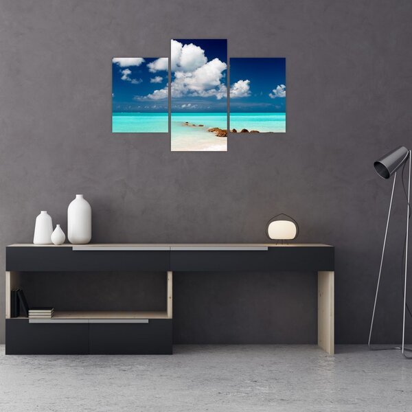 Tablou cu mare (90x60 cm)