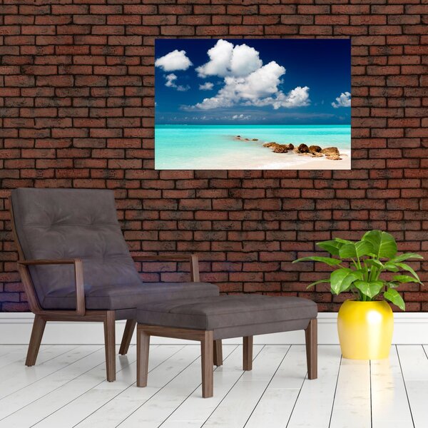 Tablou cu mare (90x60 cm)