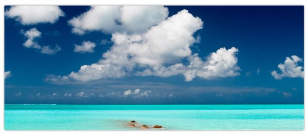 Tablou cu mare (120x50 cm)