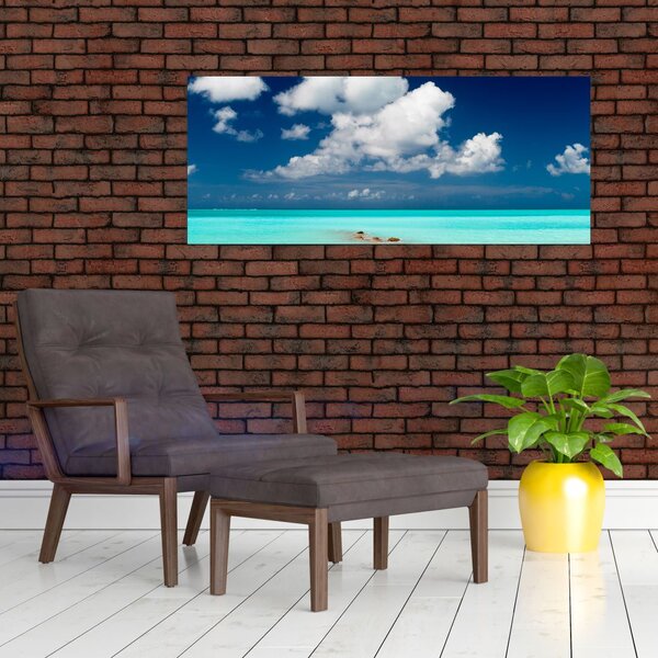 Tablou cu mare (120x50 cm)