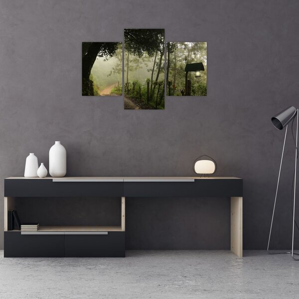 Tablou cu ceața de dimineața (90x60 cm)
