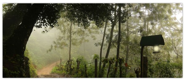 Tablou cu ceața de dimineața (120x50 cm)