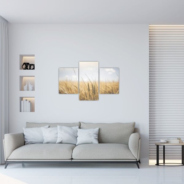 Tablou cu grâne (90x60 cm)