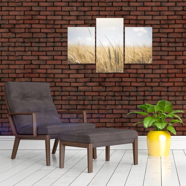 Tablou cu grâne (90x60 cm)