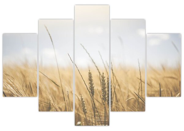 Tablou cu grâne (150x105 cm)