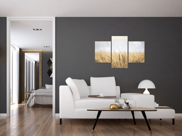 Tablou cu grâne (90x60 cm)