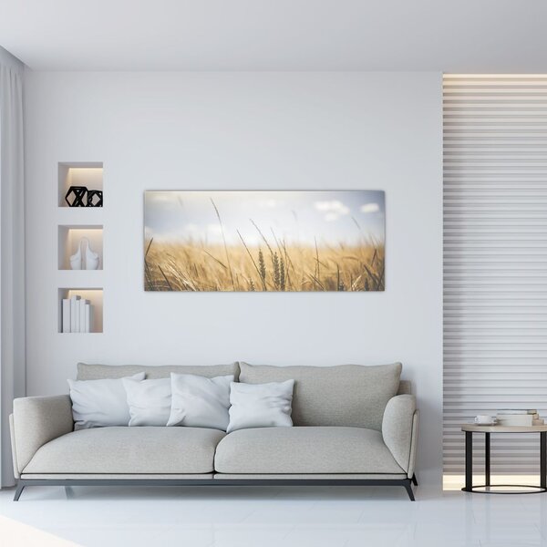Tablou cu grâne (120x50 cm)