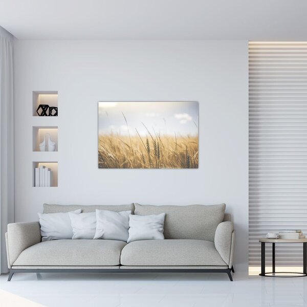 Tablou cu grâne (90x60 cm)