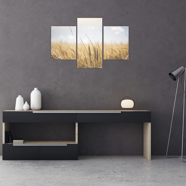 Tablou cu grâne (90x60 cm)