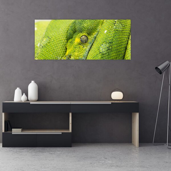 Tablou cu șarpe (120x50 cm)