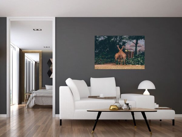 Tablou cu două girafe (90x60 cm)