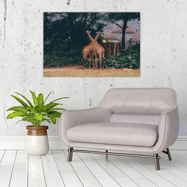 Tablou cu două girafe (90x60 cm)