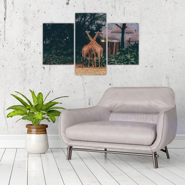 Tablou cu două girafe (90x60 cm)