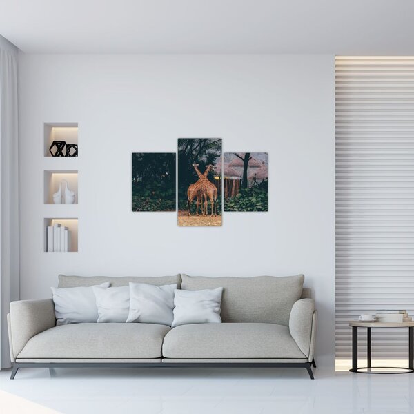 Tablou cu două girafe (90x60 cm)