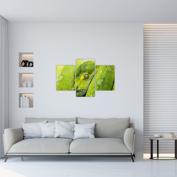 Tablou cu șarpe (90x60 cm)