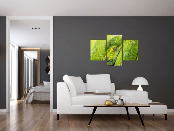 Tablou cu șarpe (90x60 cm)