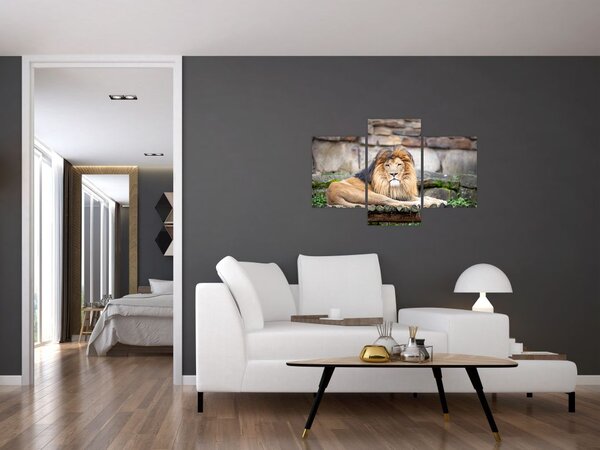 Tablou cu leu (90x60 cm)