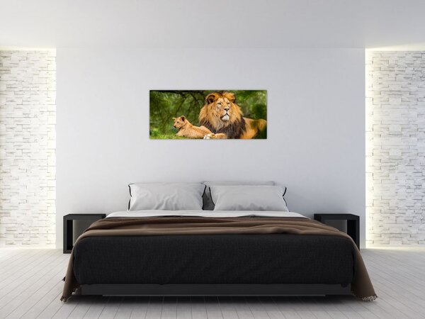 Tablou cu lei (120x50 cm)