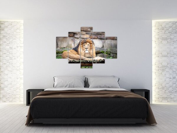 Tablou cu leu (150x105 cm)