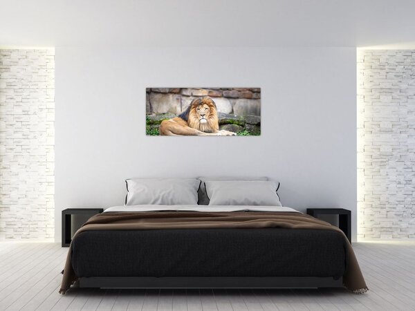 Tablou cu leu (120x50 cm)
