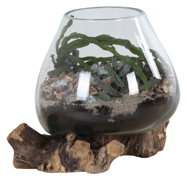 Decorațiuni Sorelia 2 (natural). 1147471