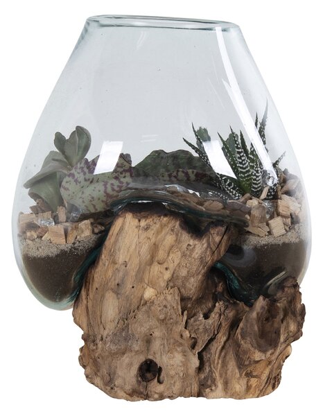 Decorațiuni Sorelia 2 (natural). 1147471