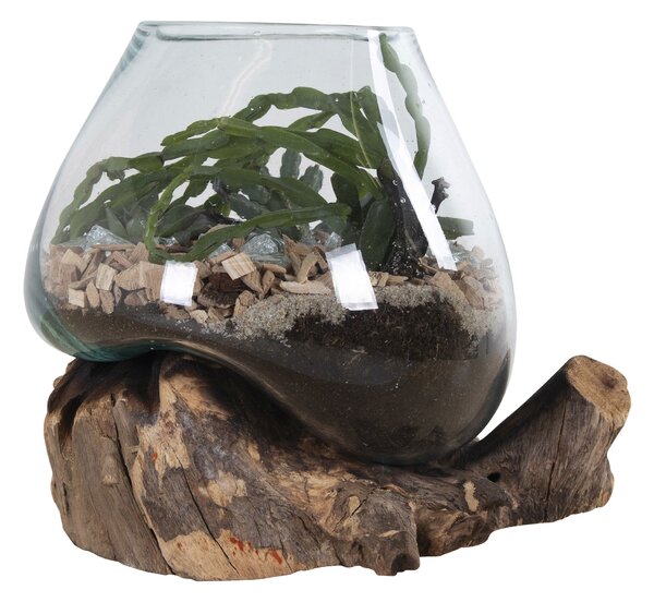 Decorațiuni Sorelia 2 (natural). 1147471