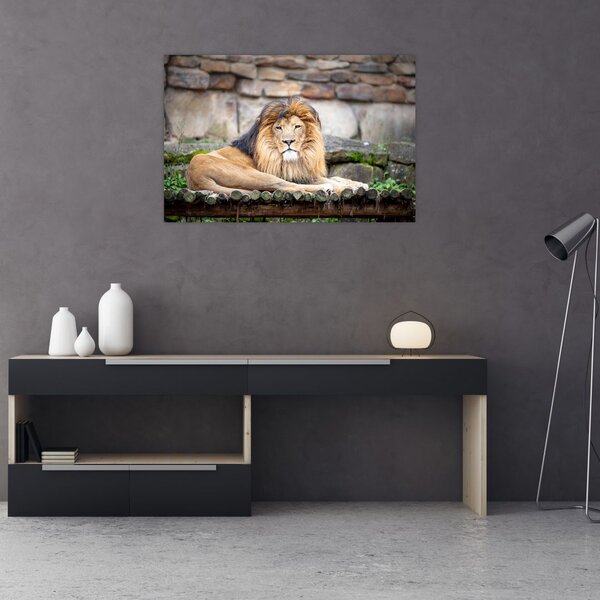 Tablou cu leu (90x60 cm)
