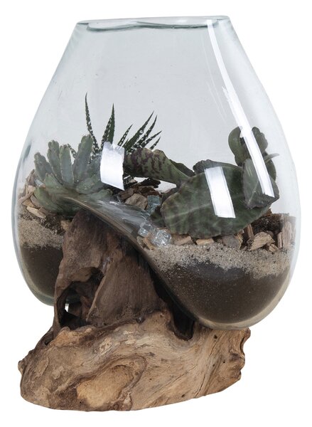 Decorațiuni Sorelia 2 (natural). 1147471