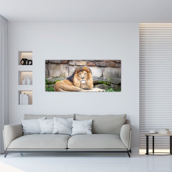 Tablou cu leu (120x50 cm)