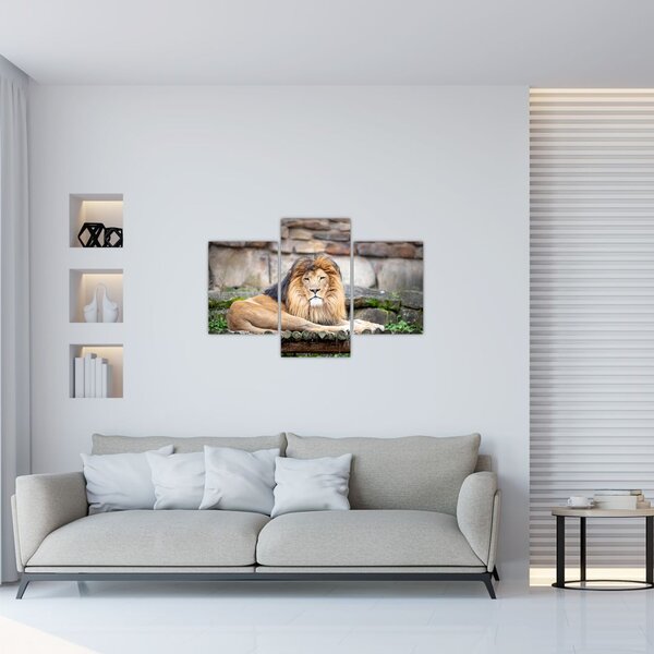 Tablou cu leu (90x60 cm)