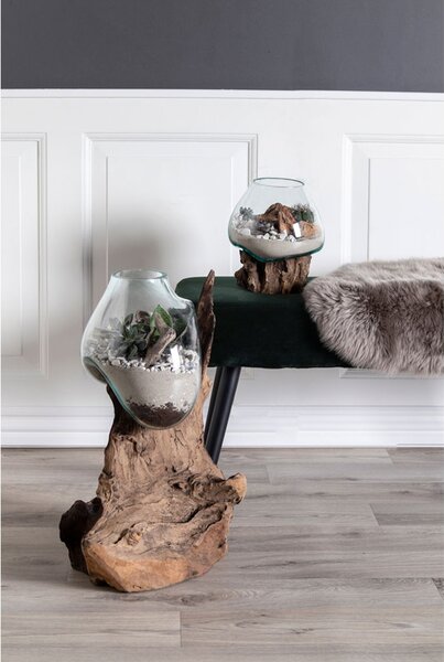 Decorațiuni Sorelia 2 (natural). 1147471
