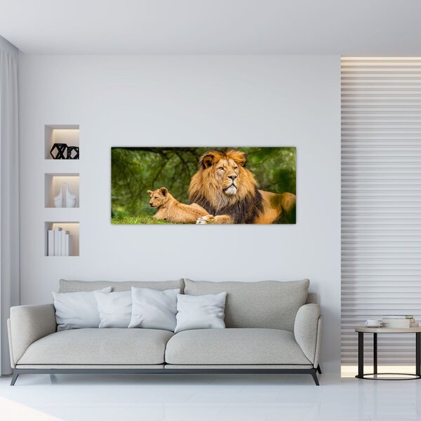 Tablou cu lei (120x50 cm)