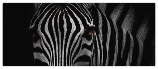 Tablou cu zebră (120x50 cm)