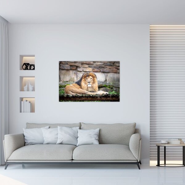 Tablou cu leu (90x60 cm)