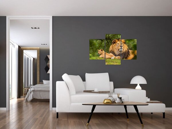Tablou cu lei (90x60 cm)