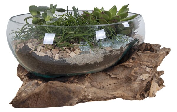Decorațiuni Sorelia 4 (natural). 1147474