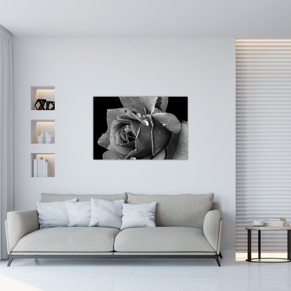 Tablou cu trandafir - albneagră (90x60 cm)