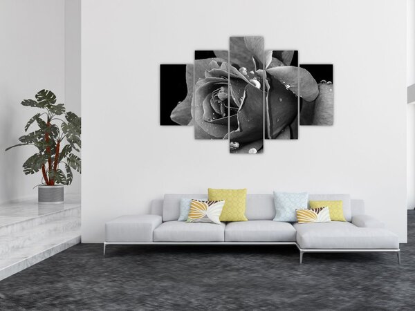 Tablou cu trandafir - albneagră (150x105 cm)