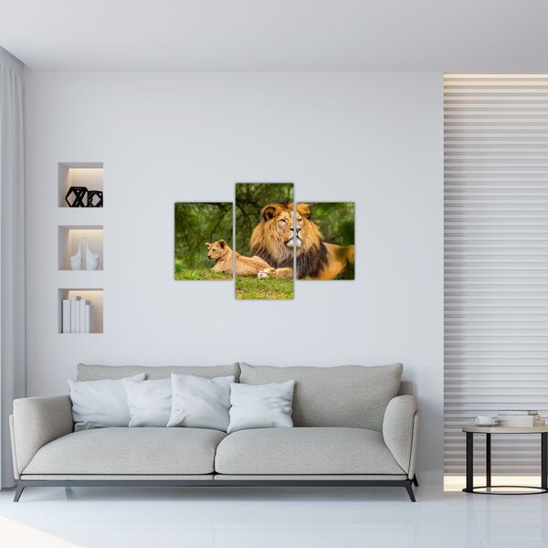 Tablou cu lei (90x60 cm)