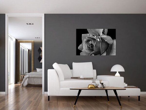 Tablou cu trandafir - albneagră (90x60 cm)
